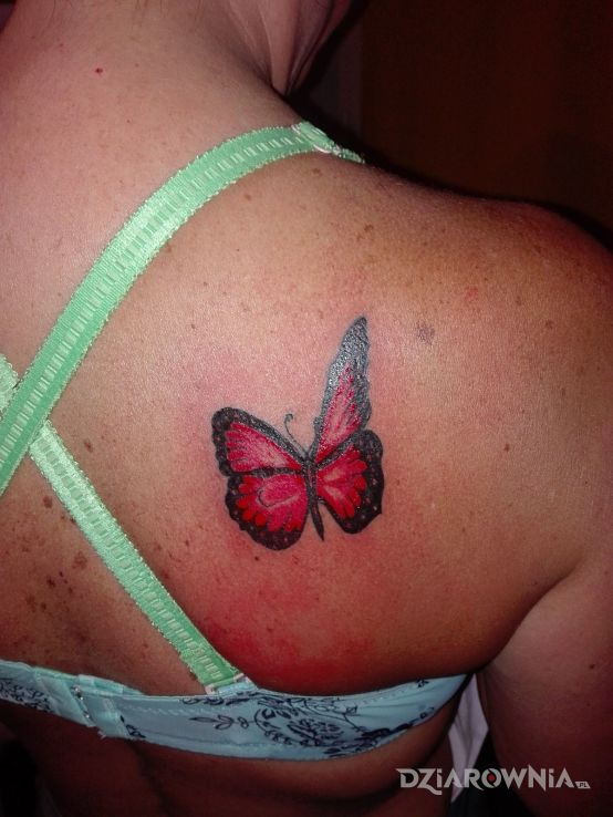 Tatuaż motylek w motywie kolorowe na łopatkach