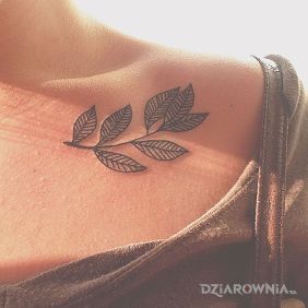 Tatuaż Minimalistyczna gałązka na obojczyku motyw: kwiaty