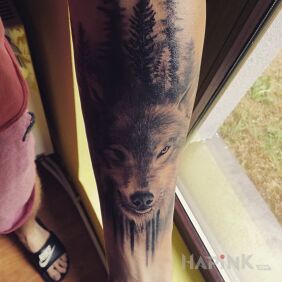 Tattoo Wolf on the forearm motif: animals