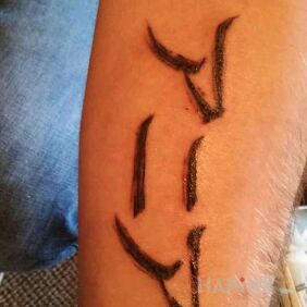 Tattoo Name on the forearm motif: lettering