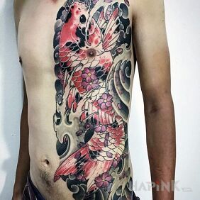 Tattoo Koi fish on the stomach motif: animals style: japanese / irezumi