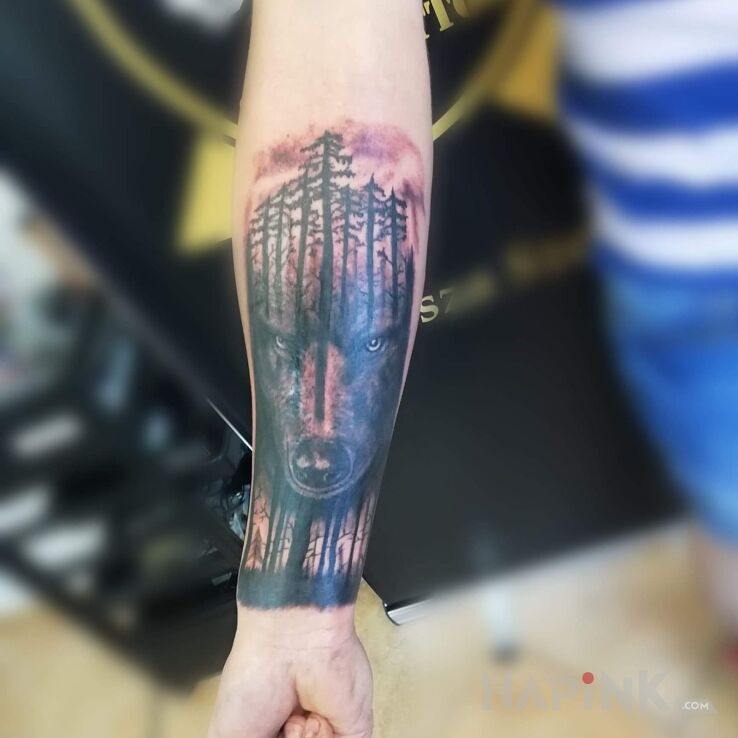 Tattoo Wilk w ciemnym lesie in animals motif on the forearm
