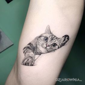Tatuaż Kot na nodze motyw: zwierzęta styl: realistyczne