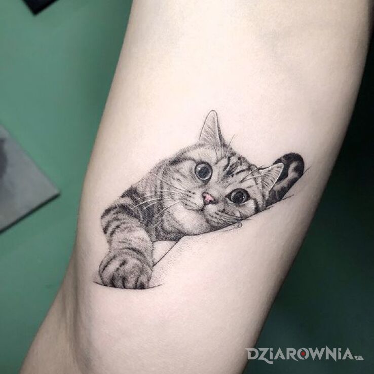 Tatuaż Kot w motywie zwierzęta i stylu realistyczne na nodze