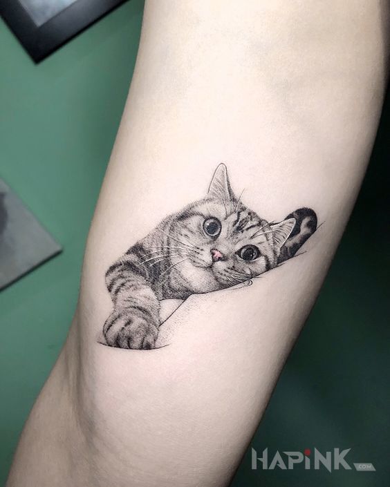 Tattoo Kot in animals motif and realistic style on the leg