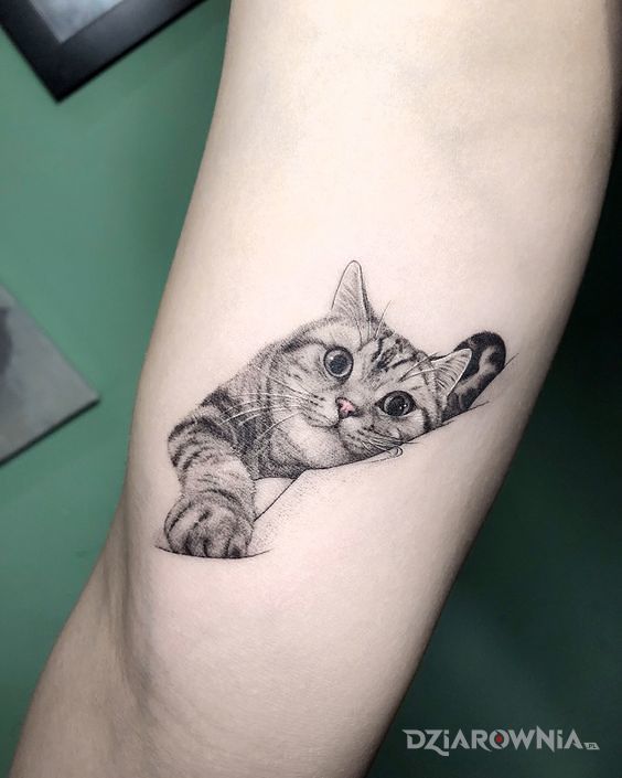Tatuaż kot w motywie zwierzęta i stylu realistyczne na nodze