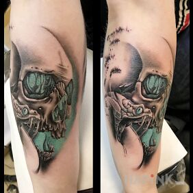 Tattoo Snake skull on the forearm motif: colorful
