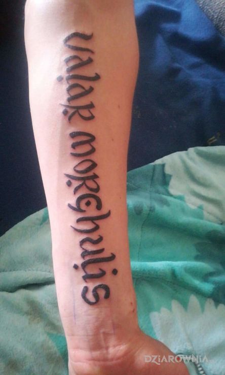 Tatuaż każdy musi umrzeć w motywie napisy na przedramieniu