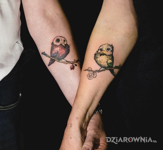 Tatuaż dwa gołąbeczki w motywie kolorowe na przedramieniu