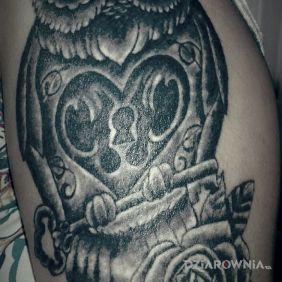 Tatuaż Sowa na ramieniu motyw: zwierzęta