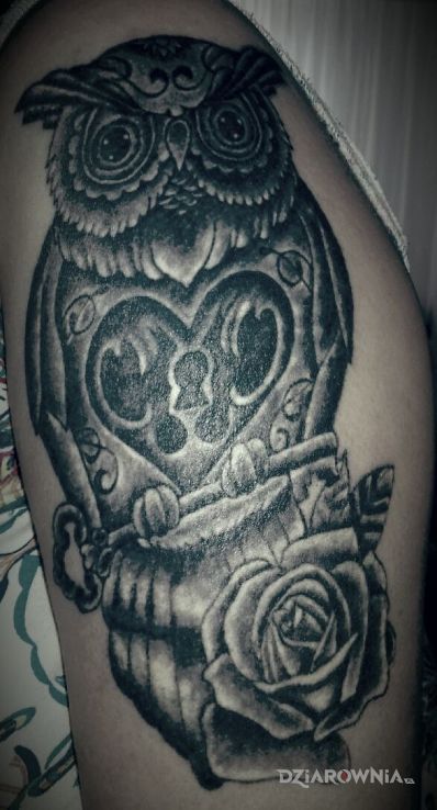 Tatuaż sowa w motywie zwierzęta na ramieniu