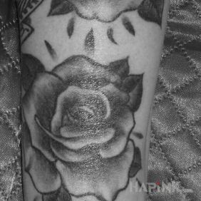 Tattoo Roses on the forearm motif: flowers