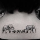 Rodzina sloni