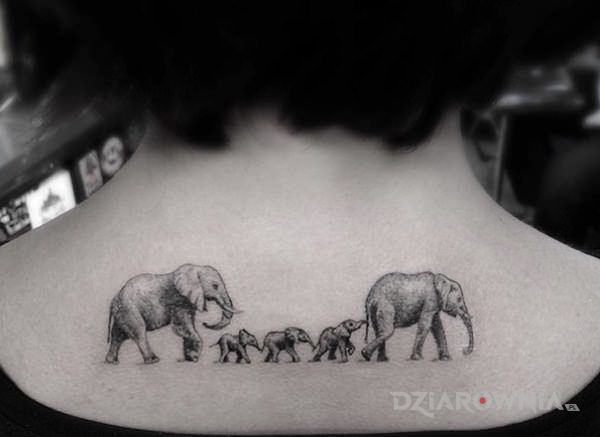 Tatuaż rodzina sloni w motywie zwierzęta na plecach