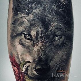 Tattoo Wolf with a rose on the forearm motif: colorful style: realistic