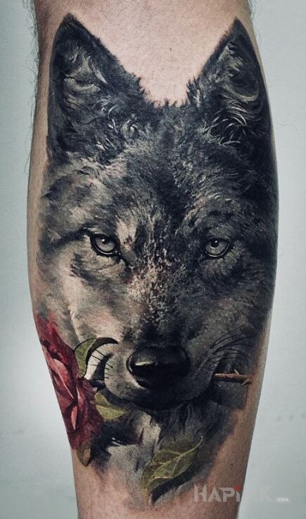 Tattoo Wilk z roza in flowers motif and realistic style on the forearm