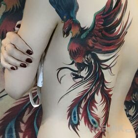 Tattoo Colorful Phoenix for Women :) on the ribs motif: colorful