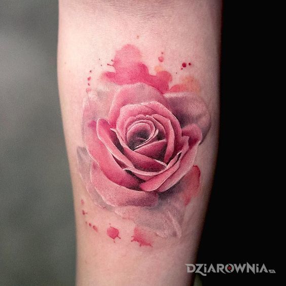 Tatuaż delikatna róża w motywie kolorowe na przedramieniu