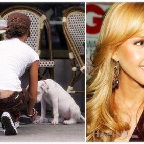 Tattoo Jessica Alba - bow on the back motif: Jessica Alba