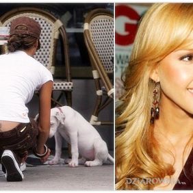 Tatuaż Jessica Alba - kokartka na plecach motyw: sławnych osób