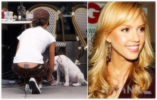Tattoo Jessica Alba - kokartka in famous people motif on the back