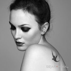Tatuaż Leighton Meester - tatuaż jaskółka na plecach motyw: Leighton Meester
