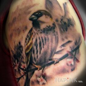 Tattoo Sparrow :) on the upper arm motif: animals