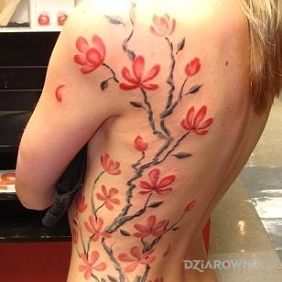 Tatuaż Drzewko na żebrach motyw: kwiaty styl: japońskie / irezumi