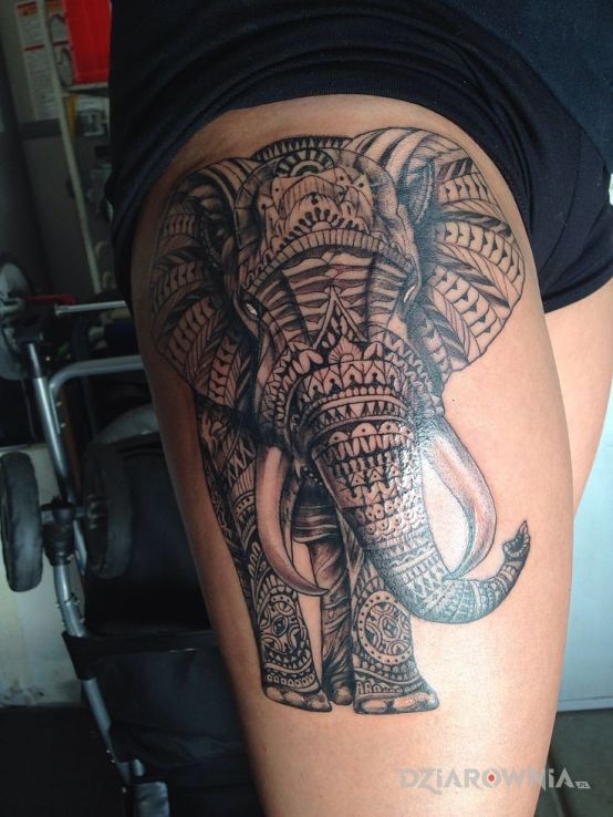 Tatuaż słoń w motywie zwierzęta na nodze