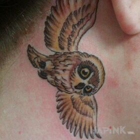 Tattoo Owl behind the ear motif: animals