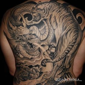 Tatuaż Przyczajony tygrys, ukryty smok na plecach styl: japońskie / irezumi