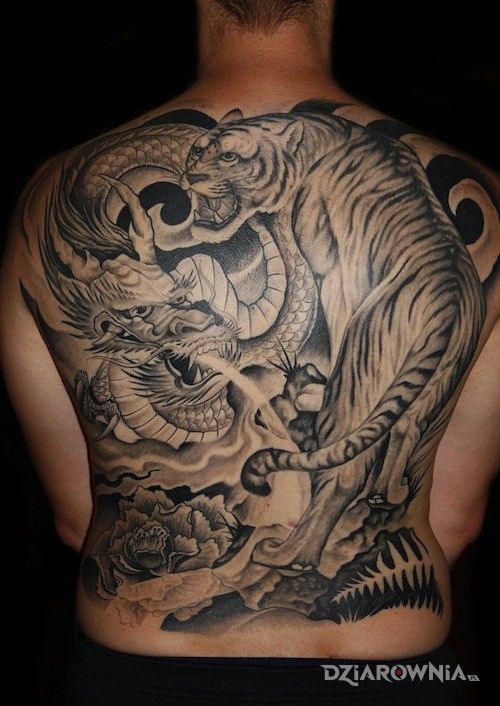 Tatuaż przyczajony tygrys ukryty smok w stylu japońskie / irezumi na plecach