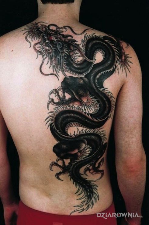 Tatuaż dragon w motywie smoki i stylu japońskie / irezumi na plecach