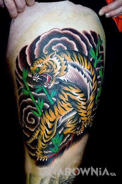 Kolorowy tatuaż japoński z tygrysem na męskim udzie