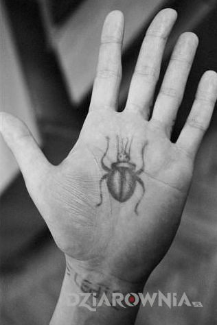 Tatuaż na wewnętrznej stronie dłoni - Chrabąszcz