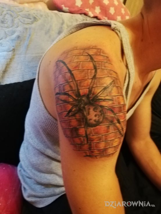 Tatuaż pająk w motywie pozostałe na ramieniu