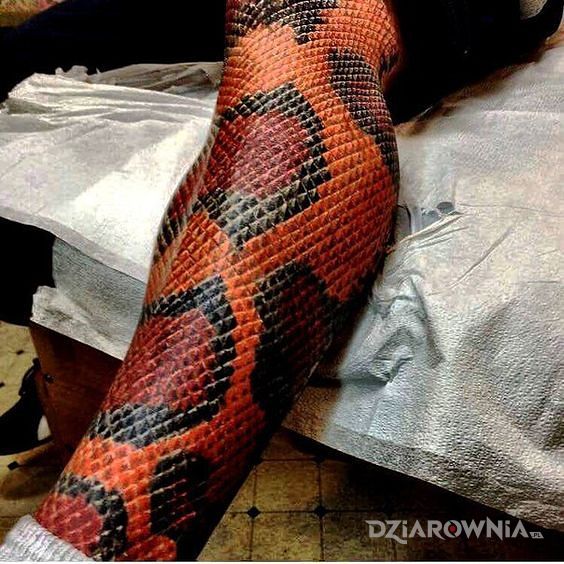 Tatuaż być wężem w motywie kolorowe i stylu realistyczne na łydce
