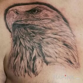 Tattoo Eagle on the chest motif: patriotic
