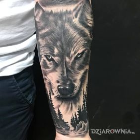 Tatuaż Wilk na przedramieniu motyw: zwierzęta