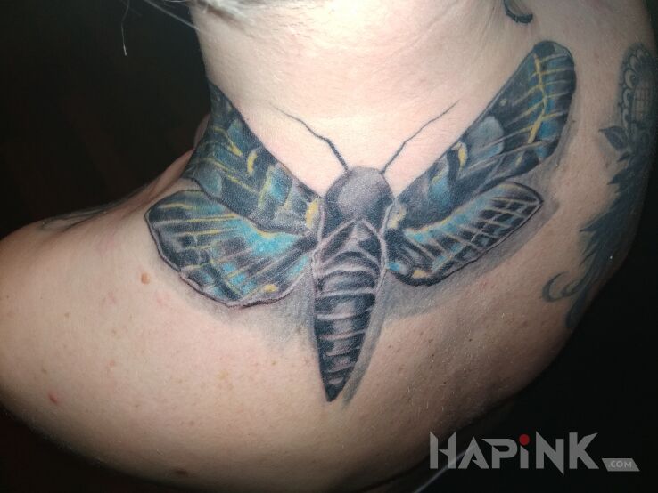 Tattoo Ćma in colorful motif on the back