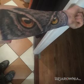 Tatuaż ?sowa na przedramieniu motyw: zwierzęta