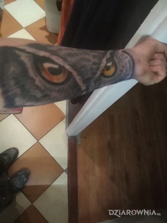 Tatuaż sowa w motywie kolorowe na przedramieniu