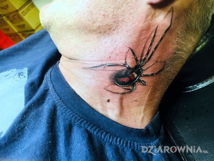 Tatuaż pająk w motywie zwierzęta na szyi