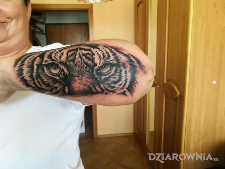 Tatuaż tygrys w motywie 3D na przedramieniu