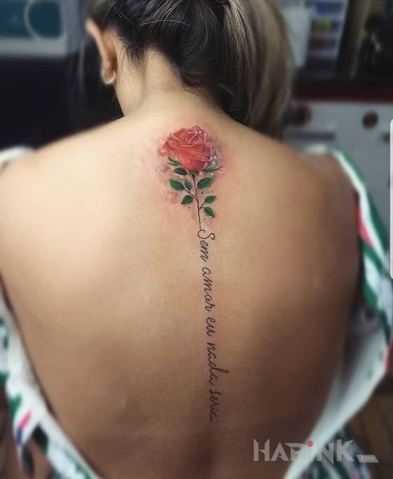 Tattoo Róża i napis in colorful motif on the back