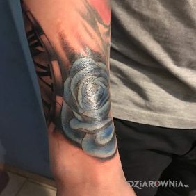 Tatuaż Róża! na przedramieniu motyw: kolorowe