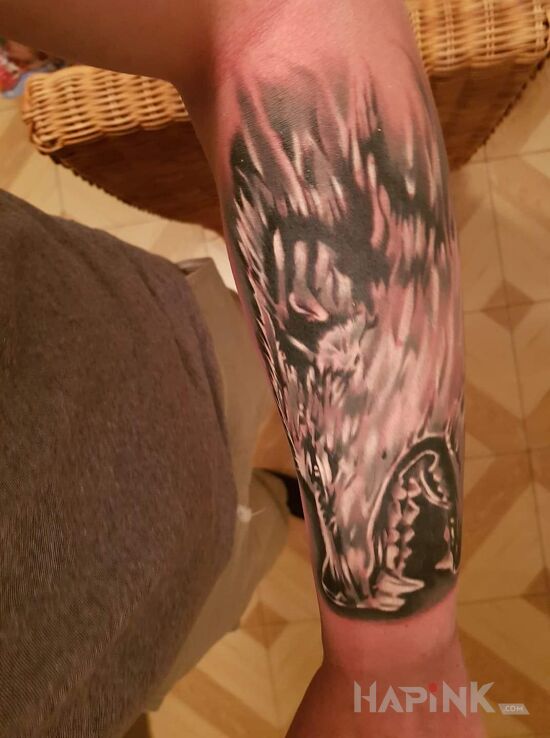 Tattoo Oto mój wilczek in animals motif and realistic style on the forearm