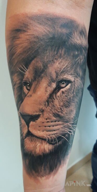 Tattoo Lew in 3D motif and realistic style on the forearm