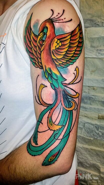 Tattoo Feniks in colorful motif on the upper arm