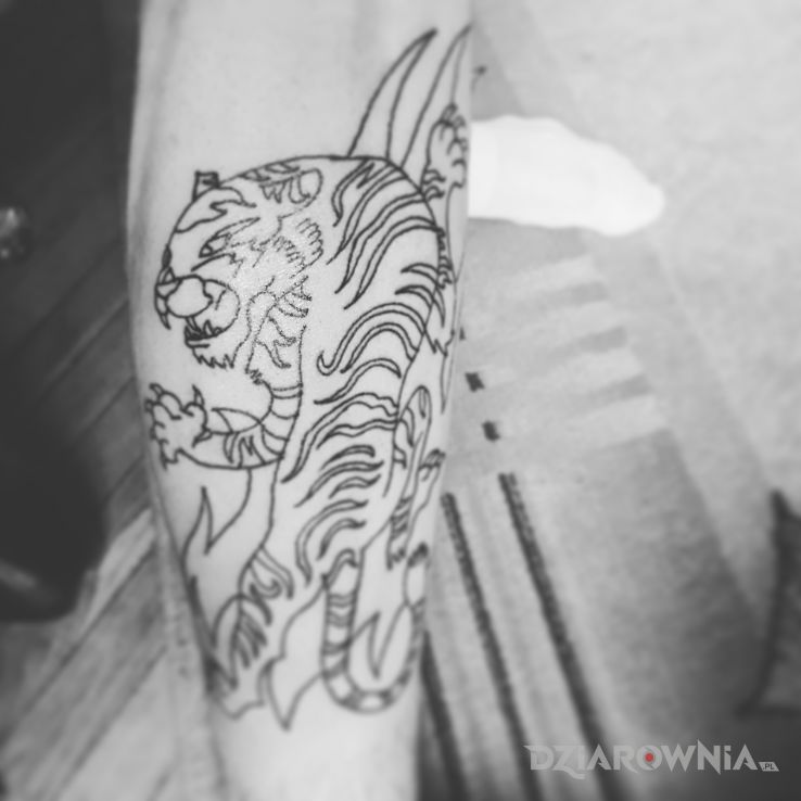 Tatuaż kontury dopiero w motywie zwierzęta i stylu japońskie / irezumi na łydce